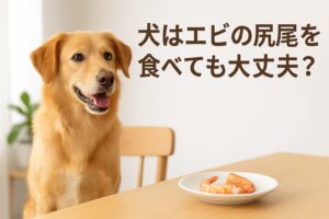 エビの尻尾は犬にとって危険？正しい知識と安全な与え方