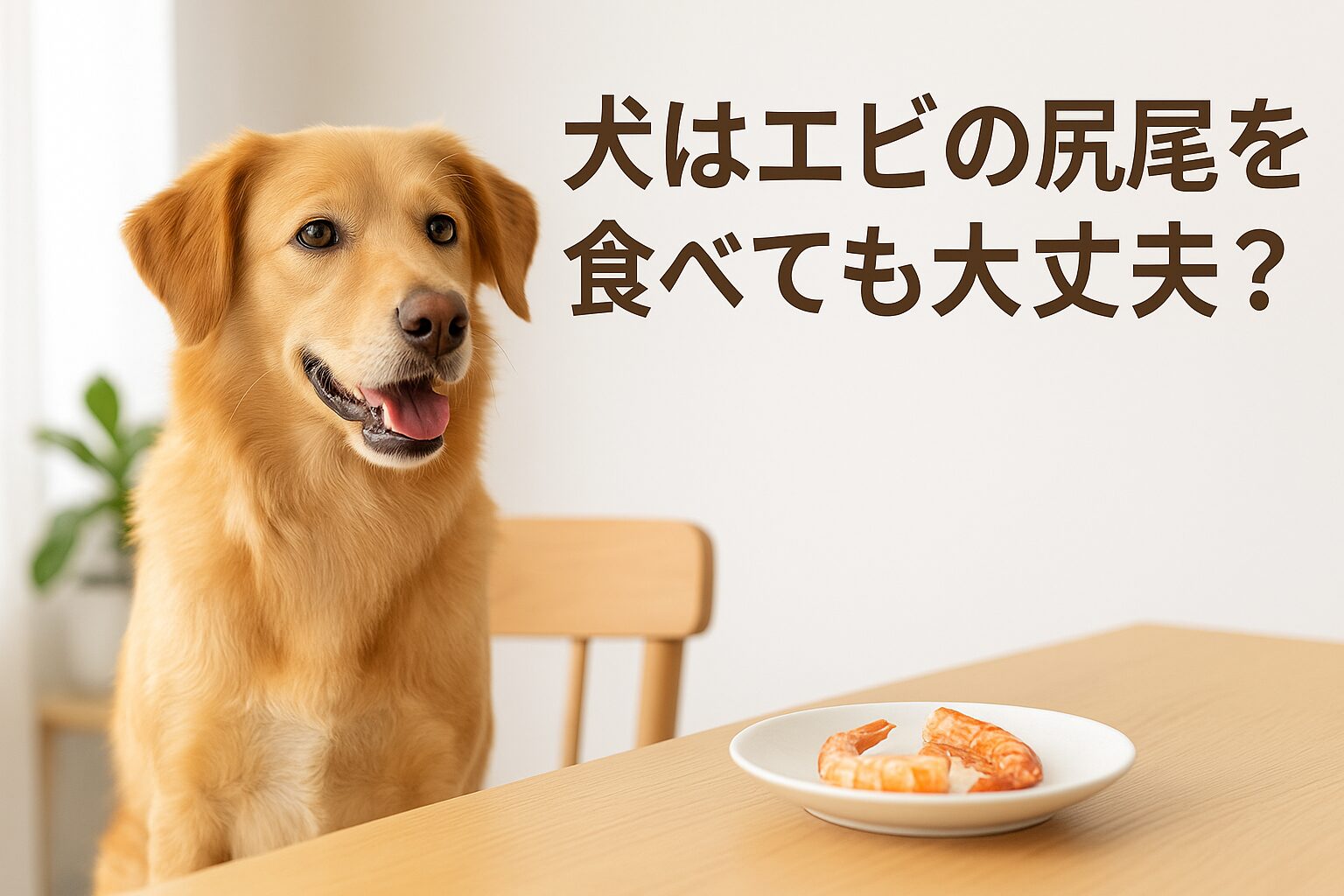 エビの尻尾は犬にとって危険?正しい知識と安全な与え方