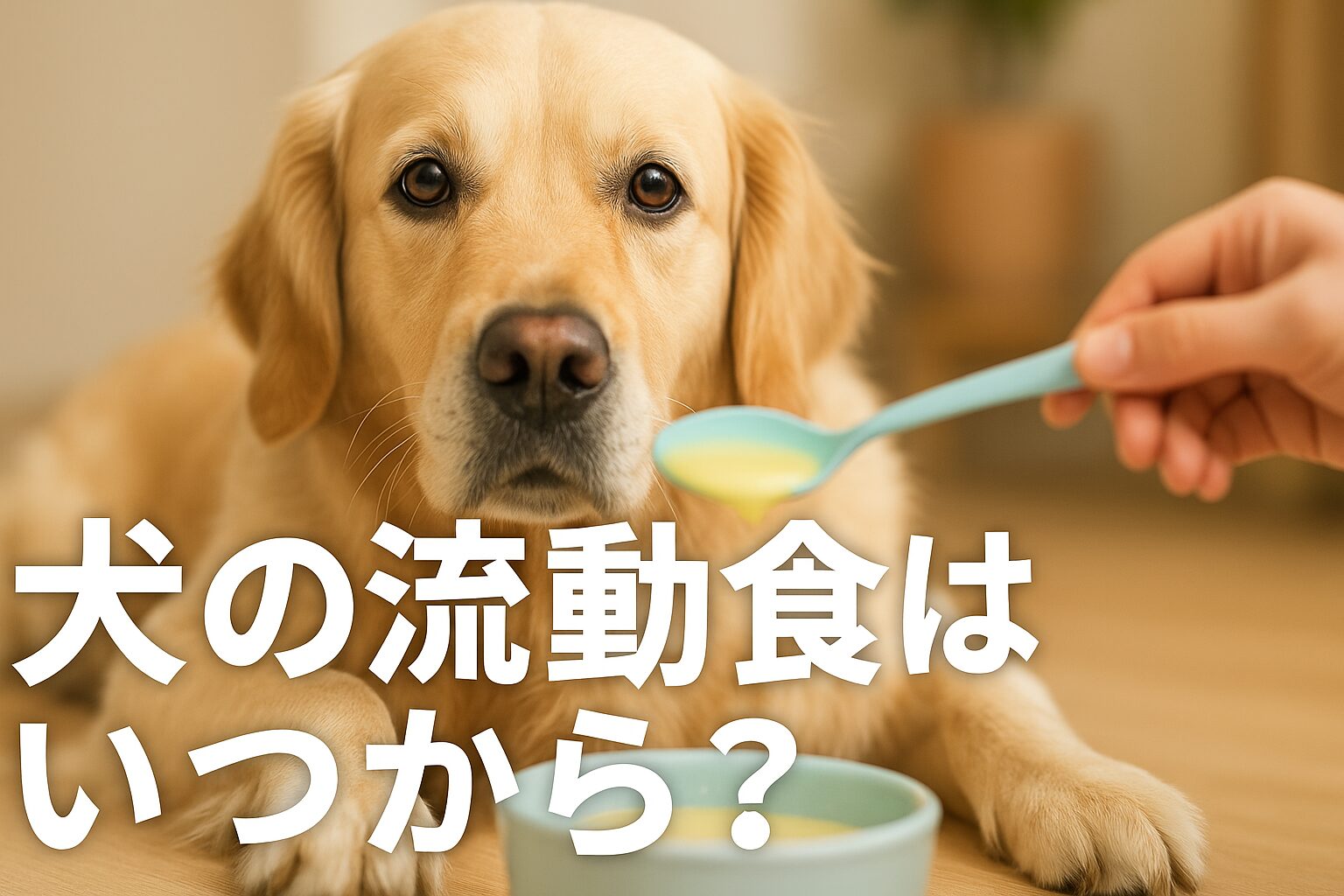 犬の流動食と寿命の関係とは?最期まで寄り添う方法