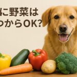 犬に野菜はいつから？与えていい種類とNG食材一覧