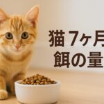 生後7ヶ月の猫の餌の量はいつ変える?フード切替時期と方法