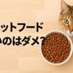 キャットフードが安いのはダメ？後悔しない選び方の基本