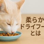 キャットフードに迷うあなたへ 柔らかいドライフードの魅力とは