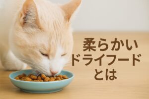 キャットフードに迷うあなたへ 柔らかいドライフードの魅力とは