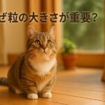 あなたの猫に合う?キャットフード粒の大きさ比較解説