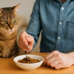 なぜ人間がキャットフードを食べるのは危険なのか?成分から解説