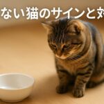 なぜ猫はご飯もチュールも食べないのか?意外な原因と対応策