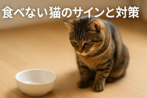 なぜ猫はご飯もチュールも食べないのか？意外な原因と対応策
