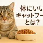 初心者でも簡単！体にいいキャットフードの選び方と実践ポイント