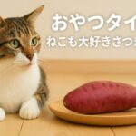 なぜ猫はさつまいもが好きなのか?匂い・味覚・健康効果を解説