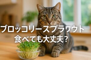 猫にブロッコリースプラウトは危険？与え方と注意点を徹底解説