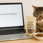 キャットフードのサンプルが欲しい時に役立つ試供品入手のコツ