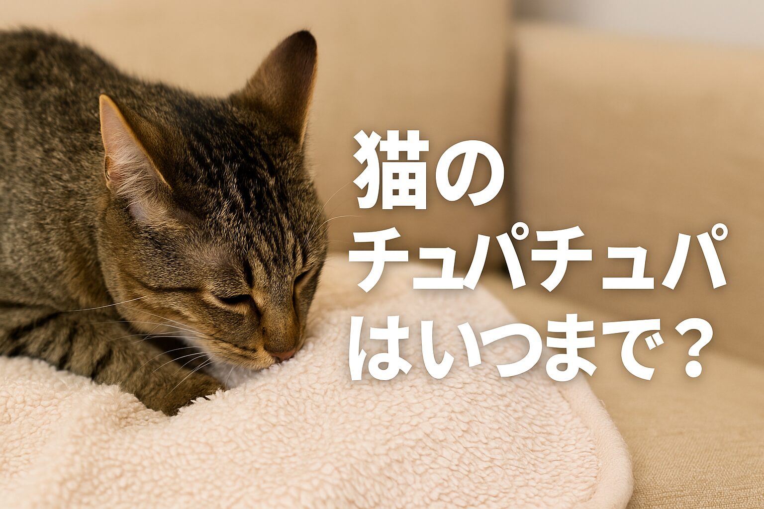猫のチュパチュパはいつまで?やめさせる方法と注意点