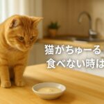 猫がちゅーるしか食べない理由と無添加総合栄養食の正しい頻度
