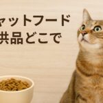 キャットフード試供品はどこで探す?無料&割引情報も網羅