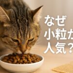 なぜ小粒が人気？市販キャットフードの理由と選び方