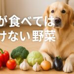 犬が食べてはいけないもの野菜一覧｜中毒リスクと安全対策を解説