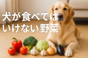 犬が食べてはいけないもの野菜一覧｜中毒リスクと安全対策を解説