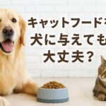 キャットフードを犬にあげたらどうなる?栄養の違いを徹底解説