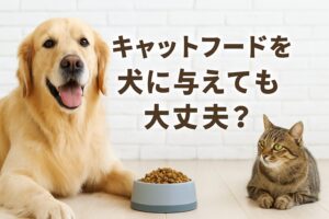 キャットフードを犬にあげたらどうなる？栄養の違いを徹底解説