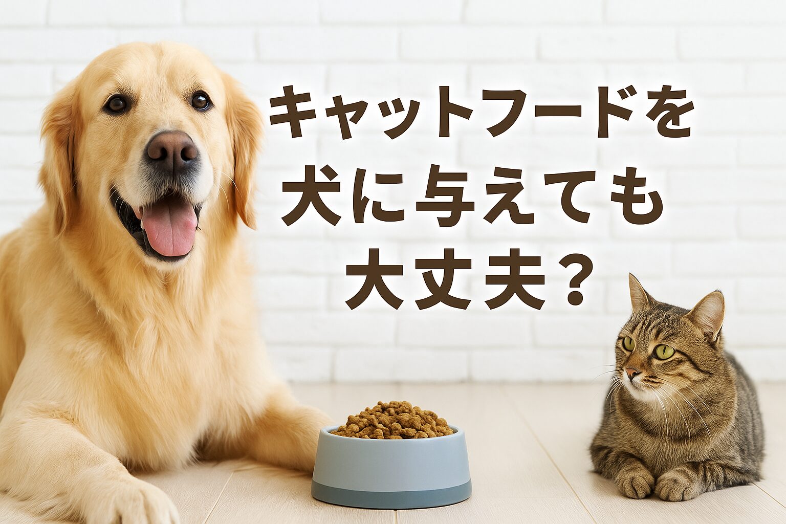 キャットフードを犬にあげたらどうなる?栄養の違いを徹底解説