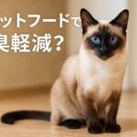 キャットフードで便臭が変わる？軽減効果と安さを両立する方法