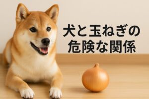 玉ねぎをひとかけらでも犬に与えてはいけない理由とは