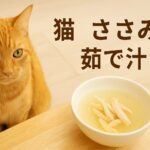 猫にささみ茹で汁をあげるなら?量とタイミング完全ガイド