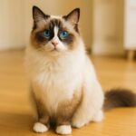 安いキャットフードでも猫が長生き!その理由と選び方とは