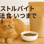 猫の療法食はいつまで？ストルバイト再発予防と通常食への戻し方