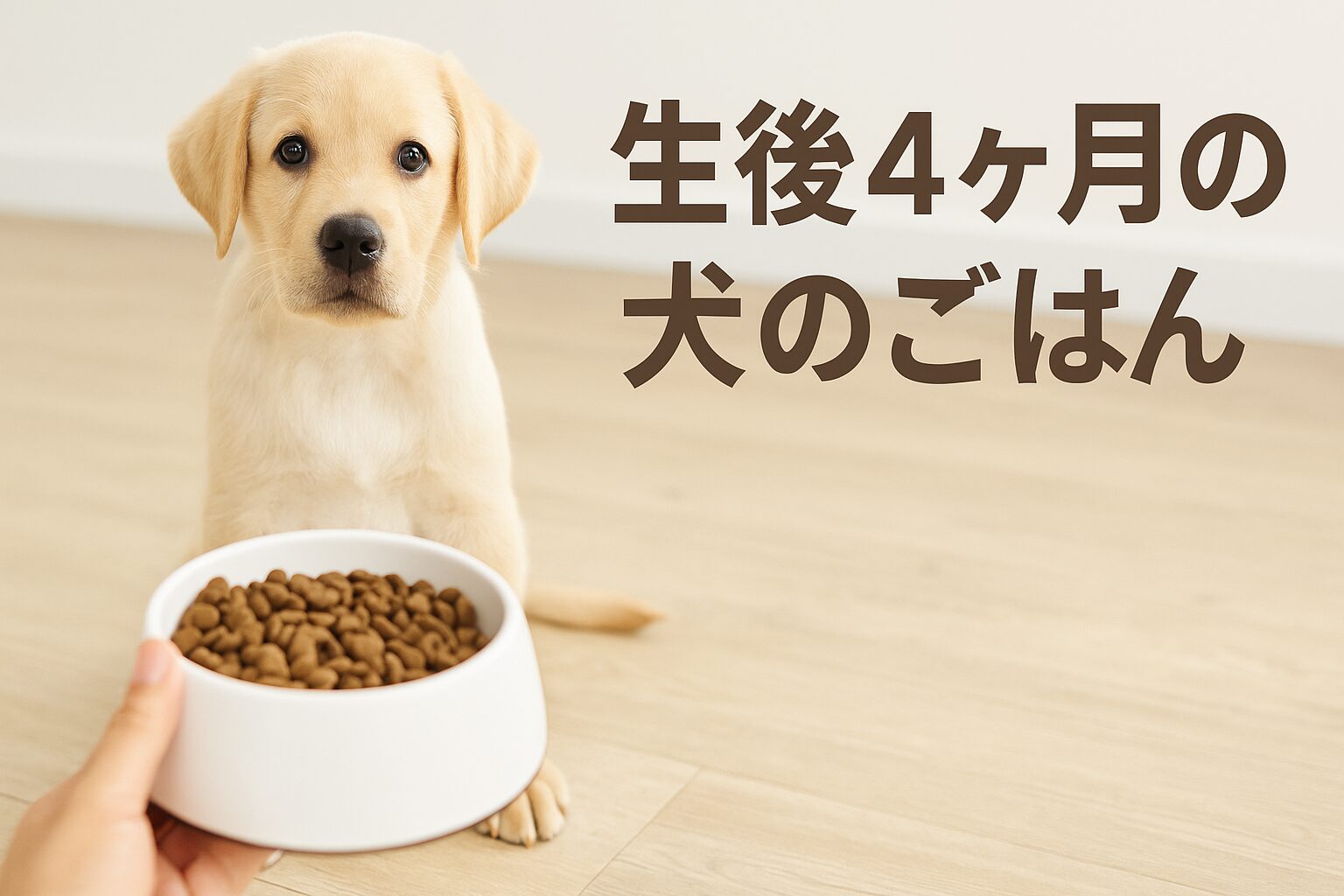初めてでも安心!生後4ヶ月の犬のご飯|選び方と与え方の基本