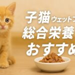 なぜ子猫には総合栄養食のウェットフードがおすすめなのか？