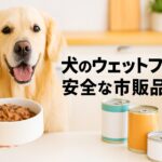 市販の安全ウェットフードは本当に犬に良いのか?徹底検証