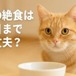 猫がご飯を食べない！絶食は何日まで？判断が難しい人へ