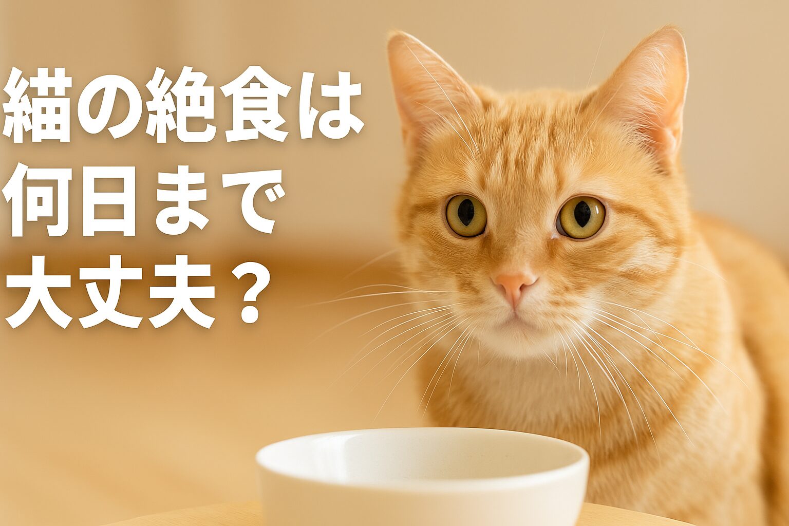 猫がご飯を食べない!絶食は何日まで?判断が難しい人へ