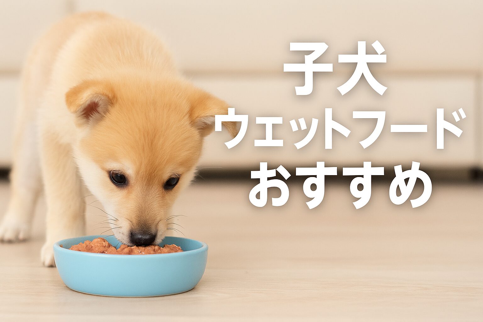 初心者必見!子犬ウェットフードおすすめの選び方と注意点