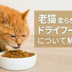 あなたの老猫は大丈夫?柔らかいドライフードが必要な理由