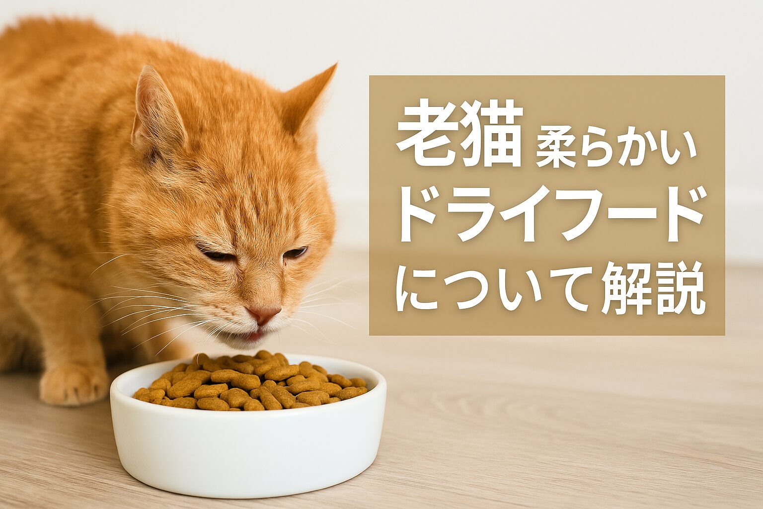 あなたの老猫は大丈夫?柔らかいドライフードが必要な理由