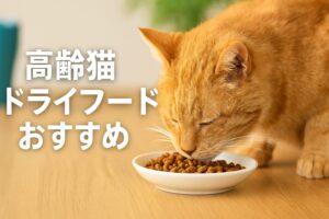 食いつきが変わる!高齢猫におすすめのドライフード厳選リスト