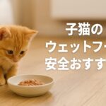 子猫のための安全ウェットフードとは？おすすめ商品を徹底比較！