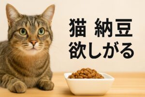 猫が納豆を欲しがる理由と対策を徹底解説