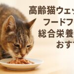 なぜ高齢猫にウェットフード？総合栄養食のおすすめ理由とは