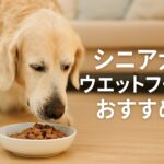 シニア犬が喜ぶ!おすすめ総合栄養食ウェットフードを徹底解説