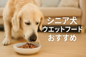 シニア犬が喜ぶ！おすすめ総合栄養食ウェットフードを徹底解説