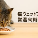 猫のウェットフードは常温で何時間?夏と冬の違いを徹底解説