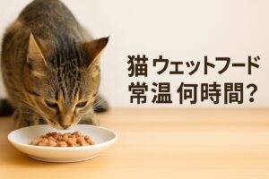 猫のウェットフードは常温で何時間？夏と冬の違いを徹底解説
