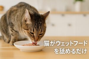 舐めるだけの猫に困ったら！ウェットフードを完食させる方法