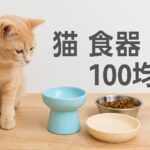 猫に優しい食器は100均で見つかる！選び方と活用術