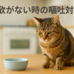 猫が食欲ないときに吐く理由とは？今すぐ知るべき対処法