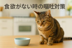 猫が食欲ないときに吐く理由とは？今すぐ知るべき対処法
